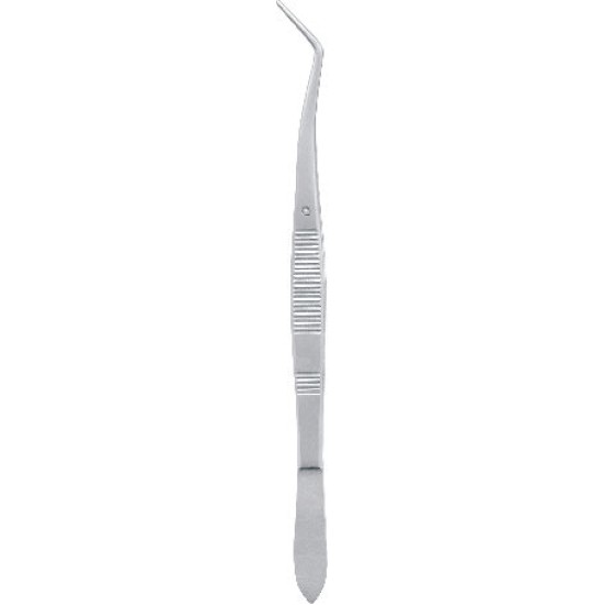 London College Forceps With Out Lock  Fig. 1