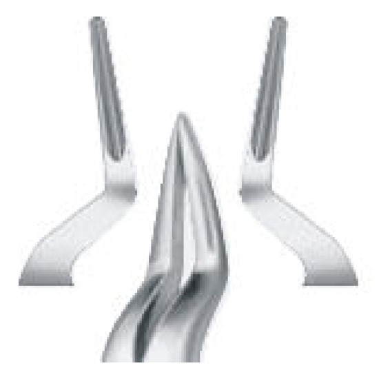 Tooth Forceps for upper roots, long pattern narrow beaks fig: 51AL