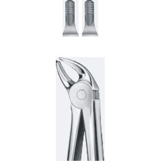 Tooth Forceps for lower canines fig: 4