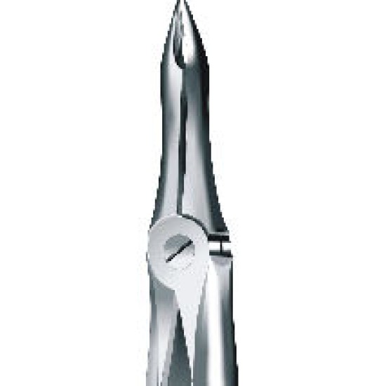 Tooth Forceps, for upper roots, Fig: 41