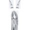 Tooth Forceps, for separating upper molars roots, fig: 55
