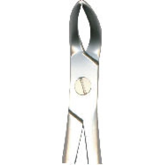 Tooth Forceps Witzal Lower