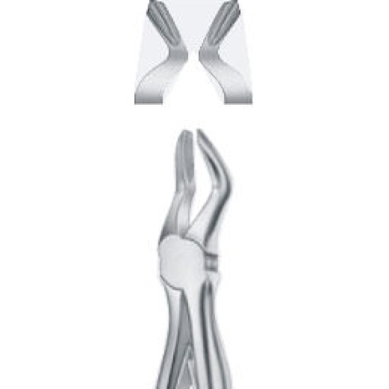 Tooth Forceps for children with spring for upper molars (Klein) 