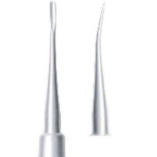 Tooth Elevator Luxating Curved 2.5 mm