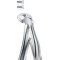 Tooth Forceps for children with spring for lower roots (Klein) # 33