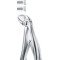 Tooth Forceps for children with spring for lower incisors (Klein) # 13